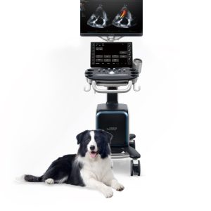 Vetus 80 – Premium veterinarski ultrazvučni sistem